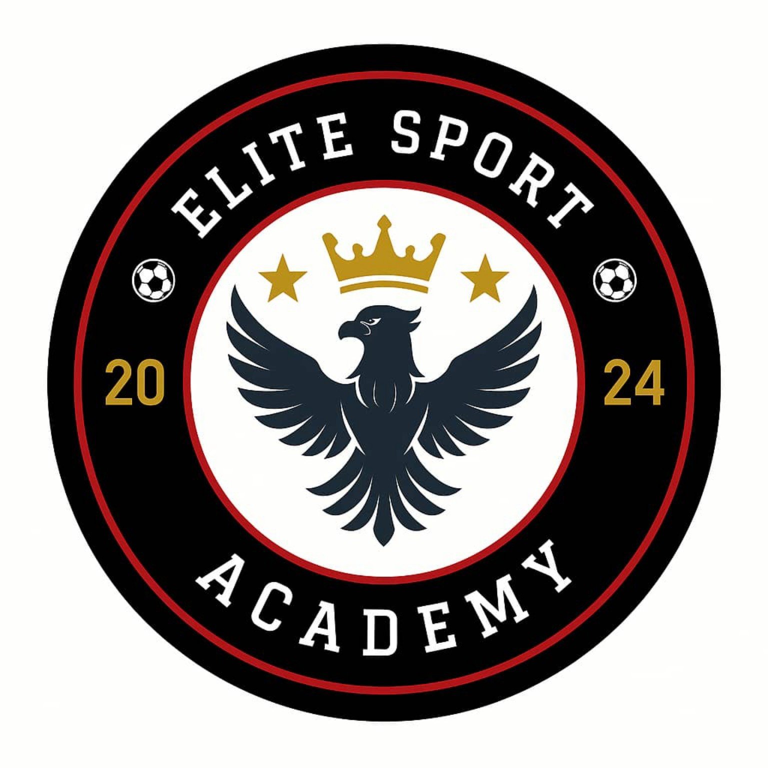 Logo Elite Sport Academy